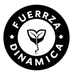 Fuerza dinamica
